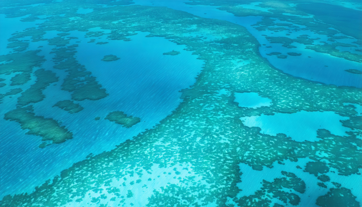 découvrez la meilleure période pour visiter la grande barrière de corail et profiter pleinement de ses paysages marins exceptionnels.
